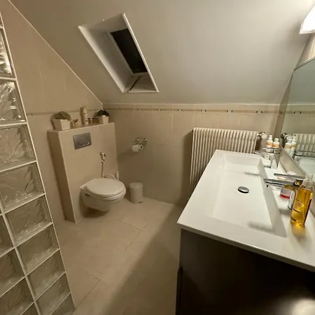 Appartement Cosy Wolfisheim Extérieur photo